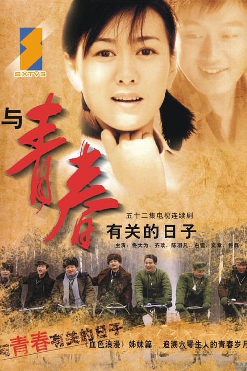 與青春有關的日子劇照3