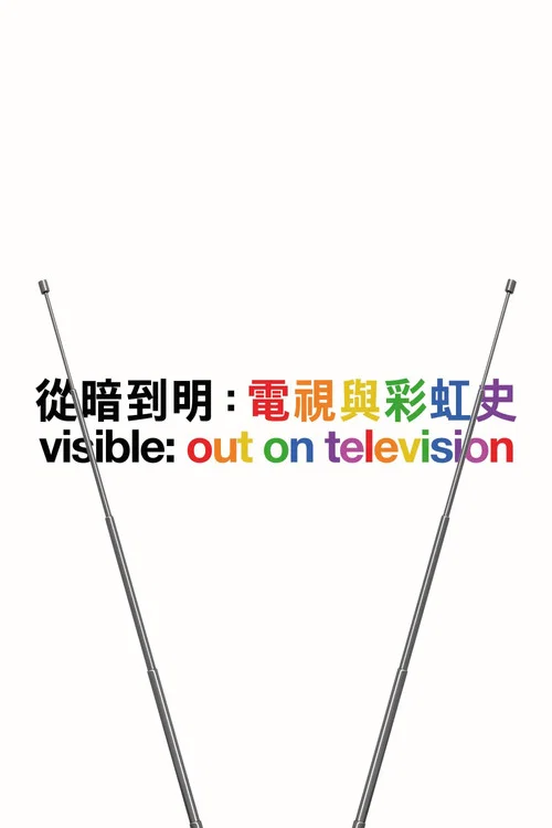从暗到明:电视与彩虹史(2020)海报