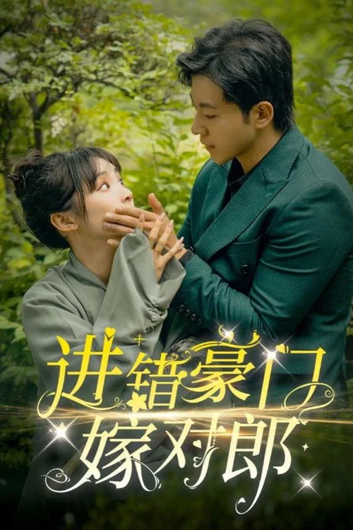 进错豪门嫁对郎(2024)海报