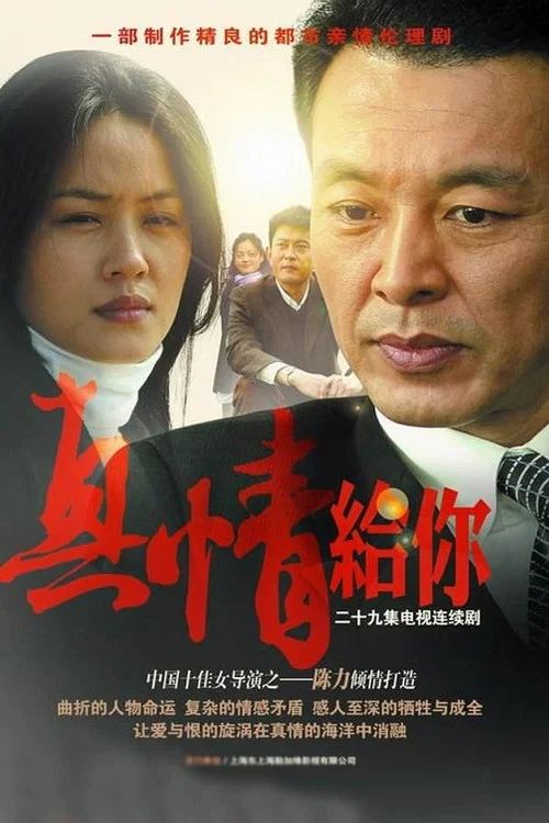 真情給你(2007)海報
