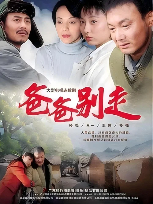 爸爸別走(2011)海報