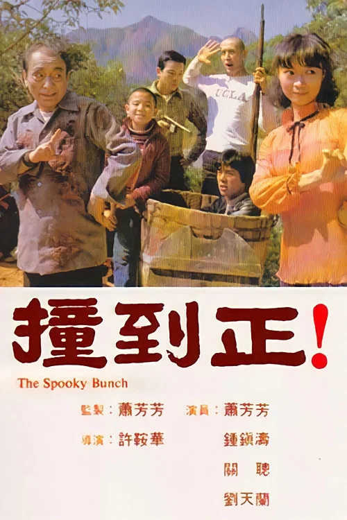 撞到正(1980)海报