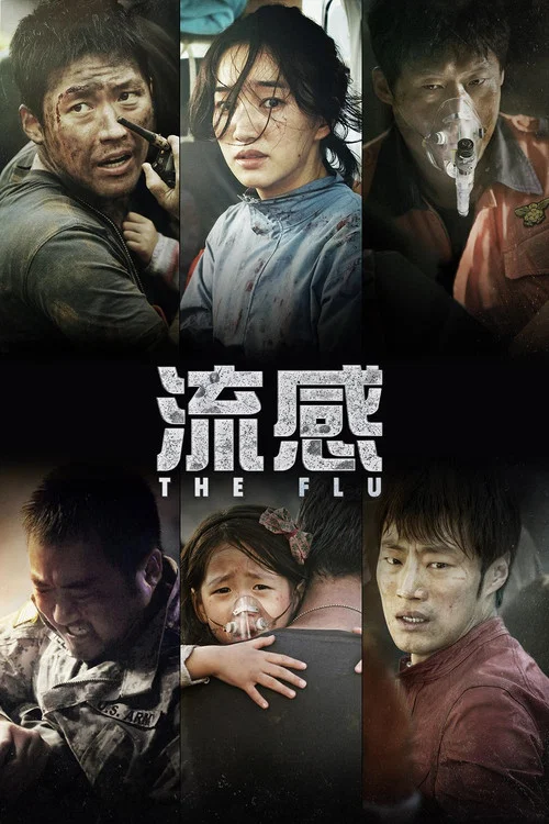 流感(2013)海報