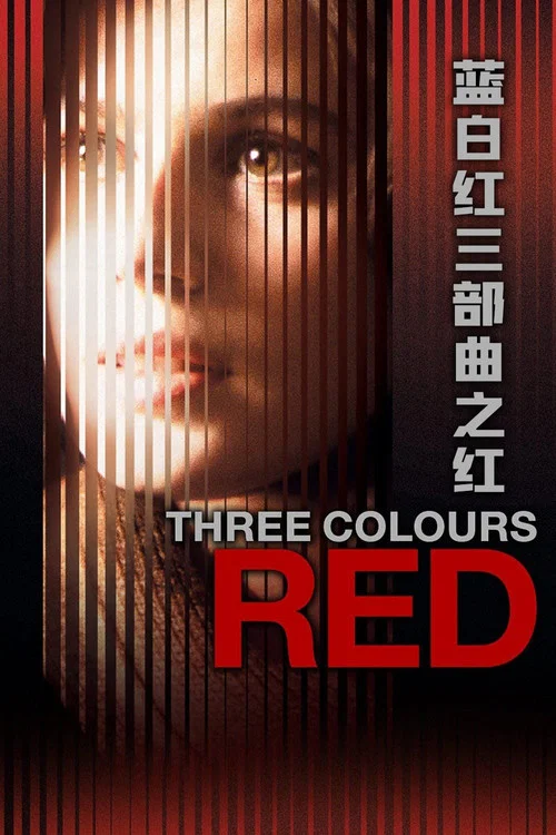 蓝白红三部曲之红剧照3