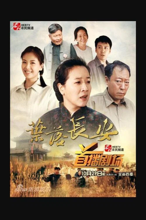 葉落長安劇照3