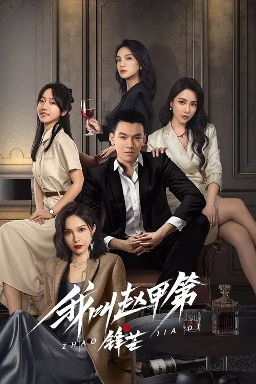 我叫赵甲第之锋芒(2025)海报