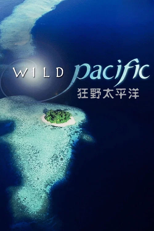 狂野太平洋海报