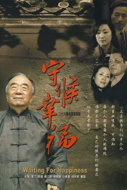 守候幸福(2007)海报