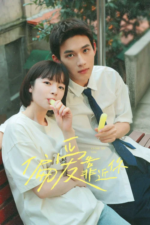 偏爱靠近你海报