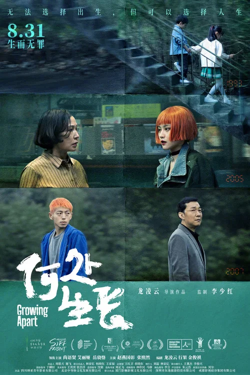 何处生长(2024)海报