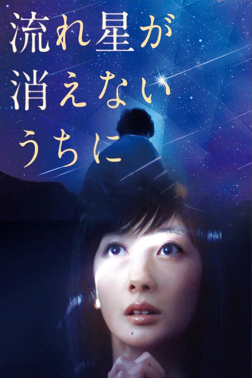 流星慢舞(2015)海報