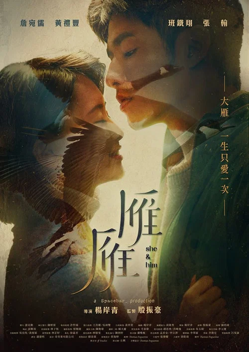 雁雁(2018)海报