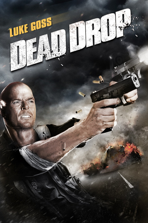 真正正義之死亡降臨(2013)海報