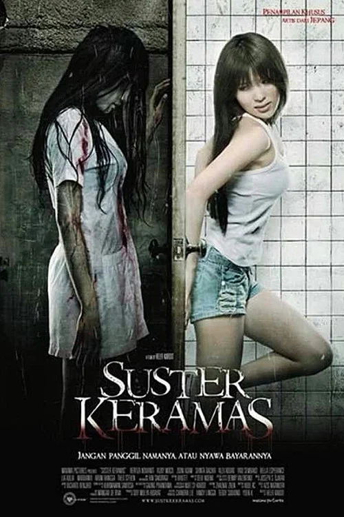 邪惡護士(2009)海報