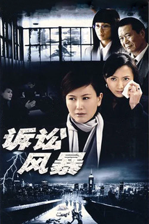 訴訟風暴(2007)海報