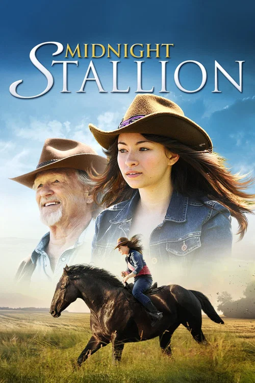 午夜種馬(2013)海報