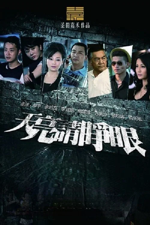 天亮请睁眼(2013)海报