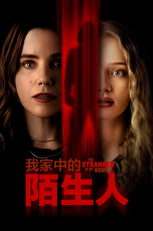 我家的陌生人(2025)海報