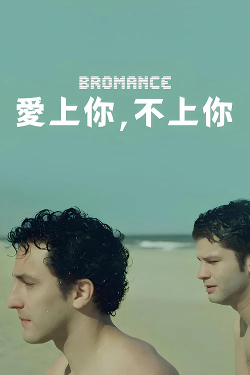 兄弟恰似爱人(2016)海报