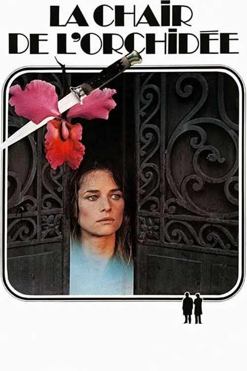 爱的肉体(1975)海报