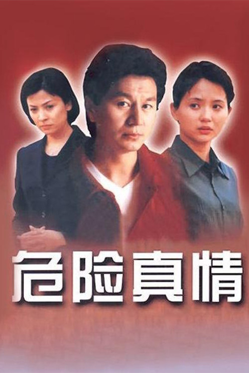 危险真情(2000)海报