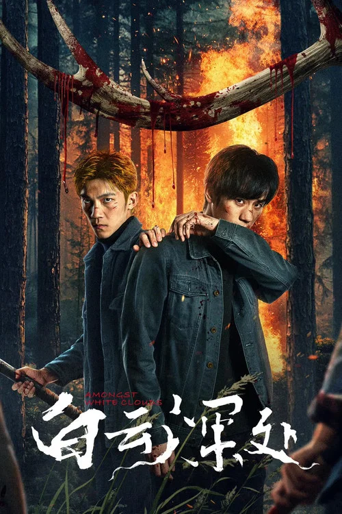 白雲深處(2025)海報