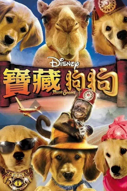 護寶巴迪(2012)海報