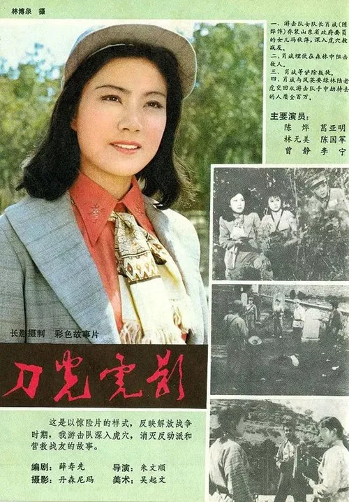 刀光虎影(1982)海報