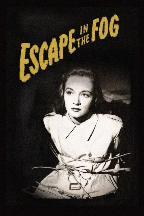 逃入迷霧(1945)海報