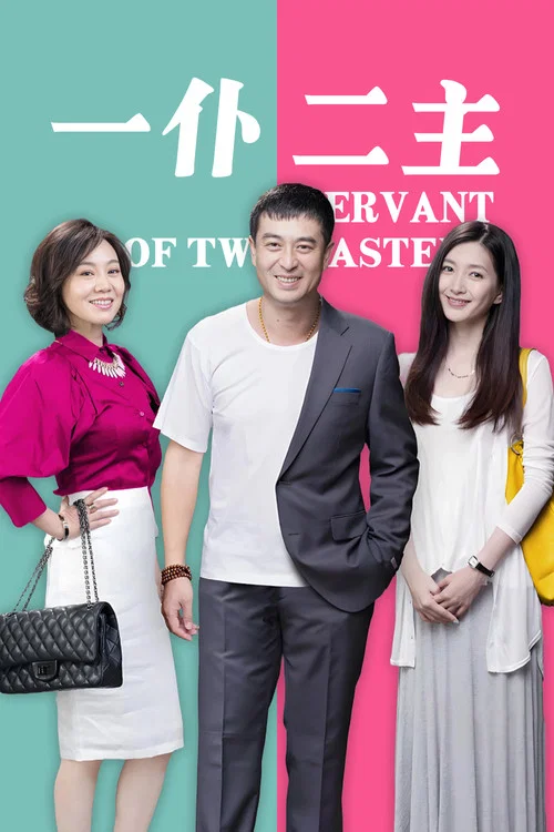 一仆二主(2014)海报