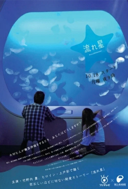 流星2010(2010)海報