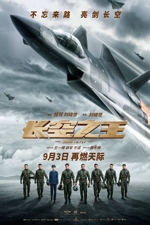 長空之王劇照11