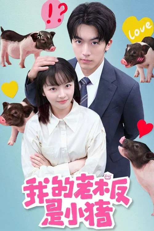 我的老板是小猪剧照3
