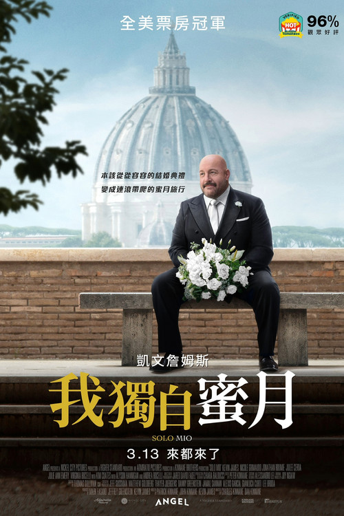 我獨自蜜月(2026)海報