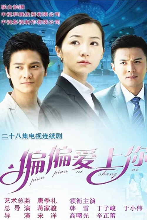 偏偏愛上你(2012)海報