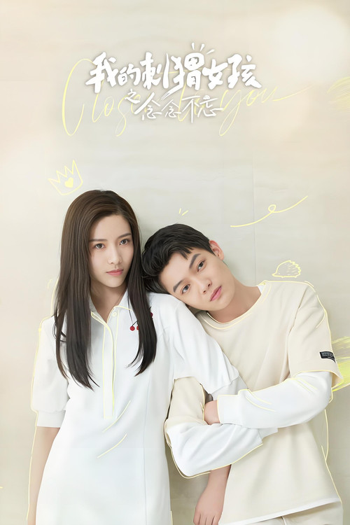 我的刺蝟女孩之念念不忘(2023)海報
