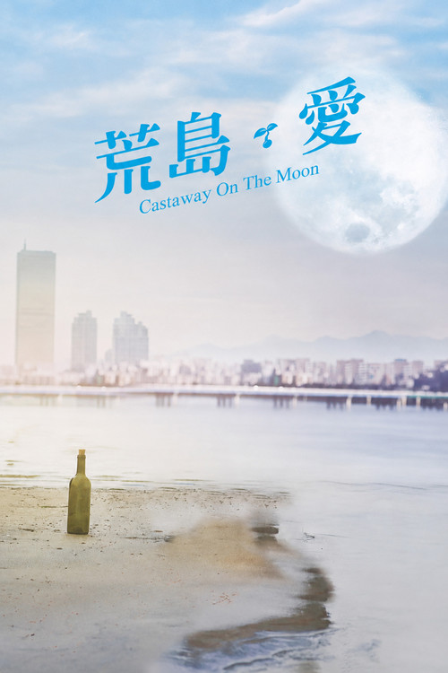 金氏漂流記(2009)海報