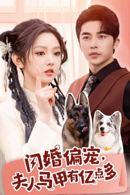 閃婚偏寵夫人馬甲有億點多(2024)海報