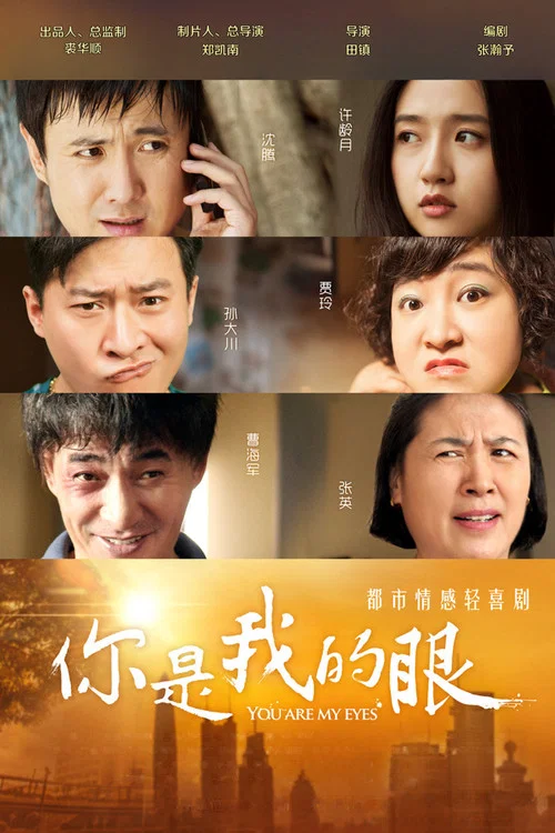 你是我的眼(2015)海報