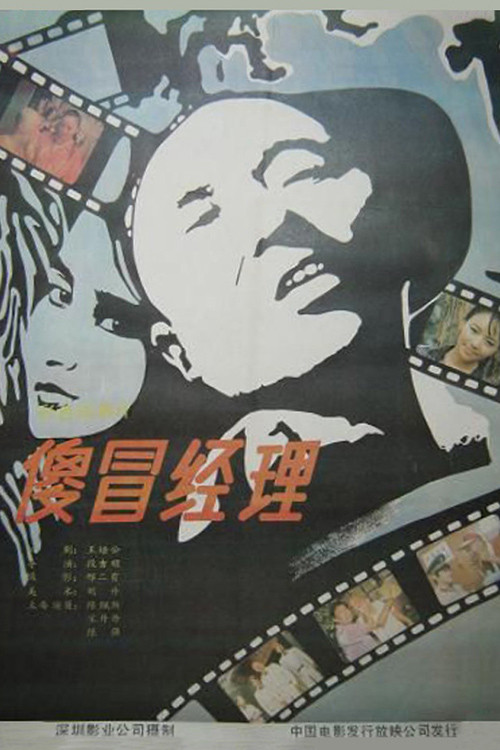 傻冒经理(1988)海报