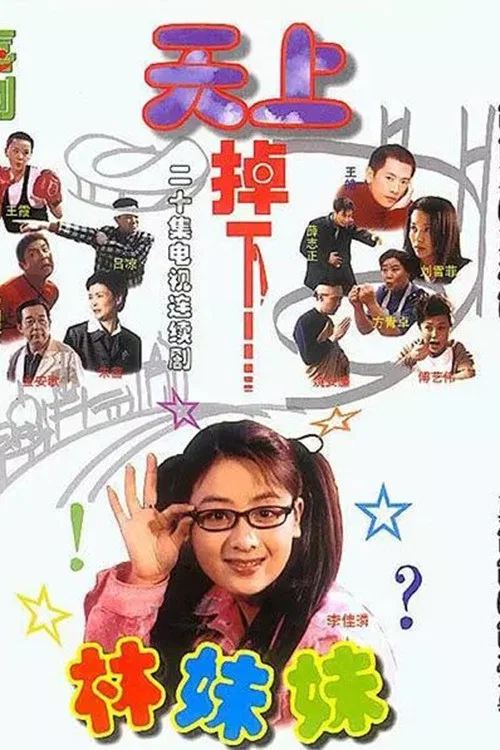 天上掉下個林妹妹(2003)海報