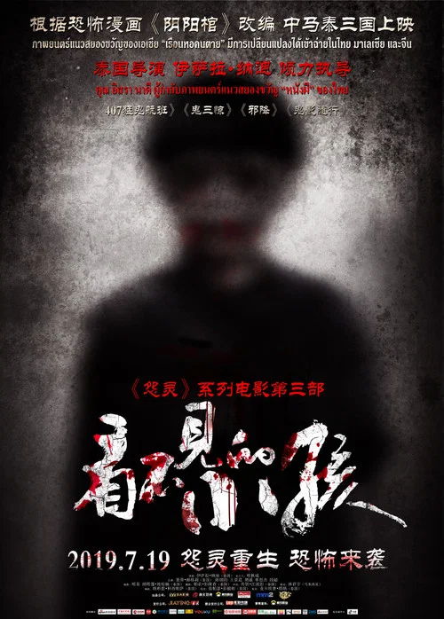 看不见的小孩(2019)海报