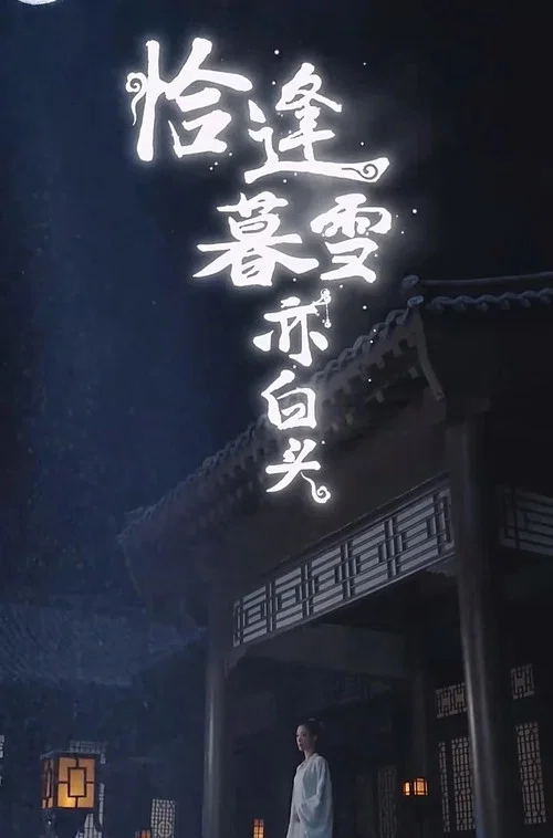 恰逢暮雪亦白头(2023)海报