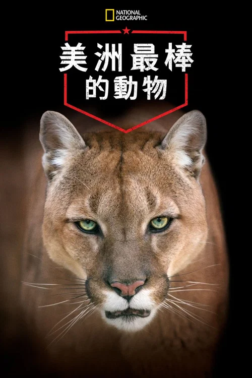 美洲偉大的動物(2012)海報