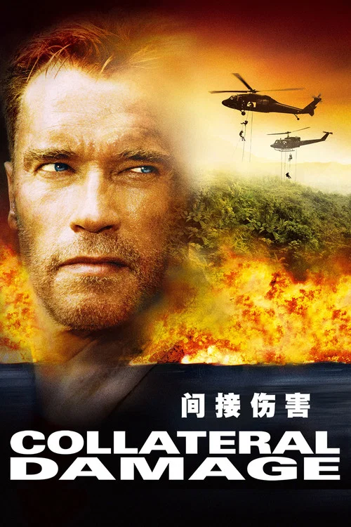 间接伤害(2002)海报