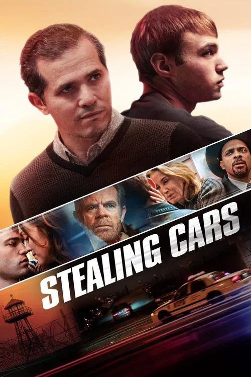 偷车(2016)海报