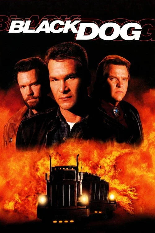 狹路相逢(1998)海報