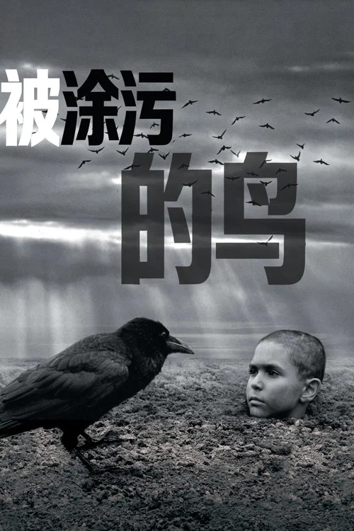 被塗汙的鳥(2019)海報