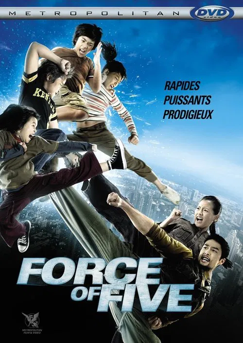 英雄少年(2009)海报