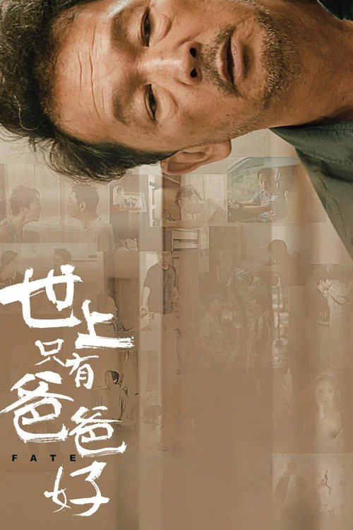 世上只有爸爸好劇照2